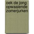 Oek de jong opwaaiende zomerjurken
