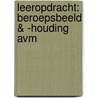 Leeropdracht: beroepsbeeld & -houding AVM door R. de Ruijter