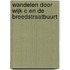 Wandelen door Wijk C en de Breedstraatbuurt
