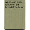 Wandelen door Wijk C en de Breedstraatbuurt door M. Geerdink