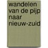 Wandelen van de Pijp naar Nieuw-Zuid