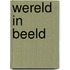 Wereld in beeld