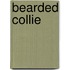 Bearded collie