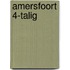 Amersfoort 4-talig