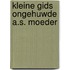Kleine gids ongehuwde a.s. moeder