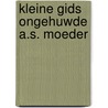 Kleine gids ongehuwde a.s. moeder by Somer