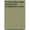 Boekhoudkundige berekening budgettaire ruimte by P. Besseling
