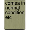 Cornea in normal condition etc door Tronsco