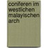 Coniferen im westlichen malayischen arch