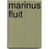 Marinus Fluit