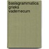 Basisgrammatica grieks vademecum