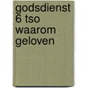 Godsdienst 6 tso waarom geloven by Carel Peeters