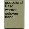 Godsdienst 6 tso waarom geloven handl. door Carel Peeters