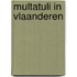 Multatuli in vlaanderen