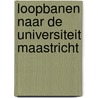 Loopbanen naar de Universiteit Maastricht by R. de Vries