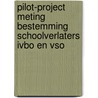 Pilot-project meting bestemming schoolverlaters IVBO en VSO by G.W.M. Ramaekers