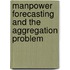Manpower forecasting and the aggregation problem