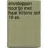 Enveloppen Noortje met haar kittens set 10 ex.