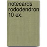 Notecards rododendron 10 ex. door J. Brinkman-Salentijn