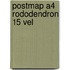 Postmap A4 rododendron 15 vel