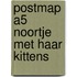 Postmap A5 Noortje met haar kittens