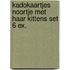 Kadokaartjes Noortje met haar kittens set 6 ex.