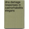 DNA damage responses in Caenorhabditis elegans door J. Pothof