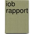 IOB rapport