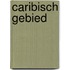 Caribisch gebied