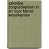 Zakelijke Zorgnetwerken in en voor kleine woonkernen