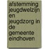 Afstemming jeugdwelzijn en jeugdzorg in de gemeente Eindhoven