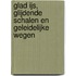 Glad ijs, glijdende schalen en geleidelijke wegen
