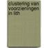 Clustering van voorzieningen in Lith