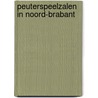 Peuterspeelzalen in noord-brabant by Miek Dorrestein