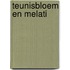 Teunisbloem en melati