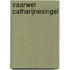 Vaarwel Catharijnesingel