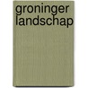 Groninger landschap by Meindert Schroor