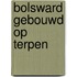 Bolsward gebouwd op terpen