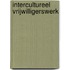 Intercultureel vrijwilligerswerk