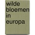 Wilde bloemen in europa