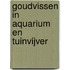 Goudvissen in aquarium en tuinvijver