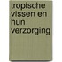 Tropische vissen en hun verzorging