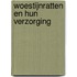 Woestijnratten en hun verzorging