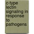 C-type lectin signaling in response to pathogens