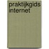 Praktijkgids Internet