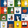 toptitels pakket 2009 door Dick Bruna