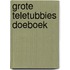 Grote Teletubbies doeboek