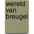 Wereld van breugel