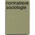 Normatieve sociologie