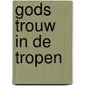 Gods trouw in de tropen door J.C. Uithol